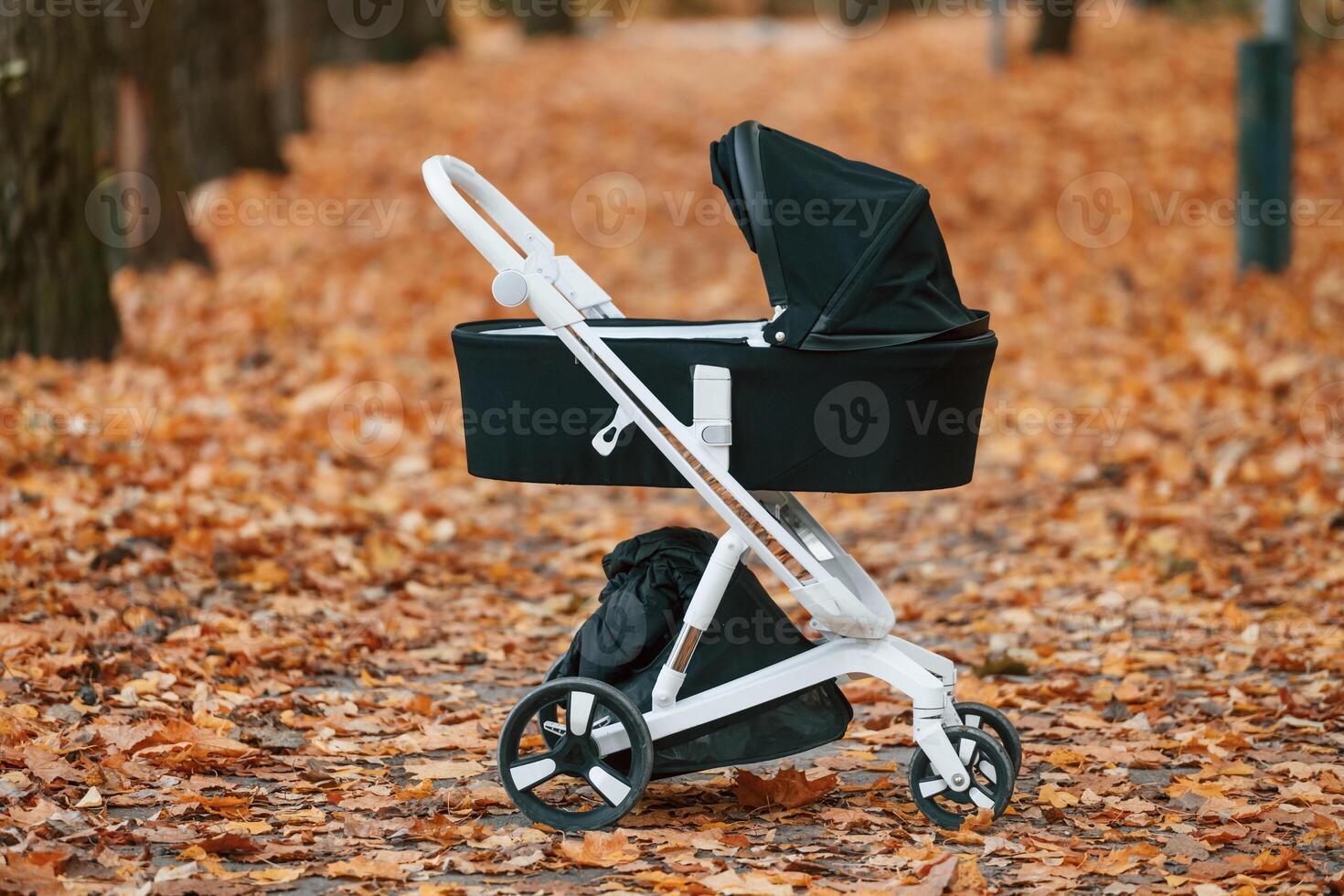 Black, pram is in the autumn forest at daytime photo