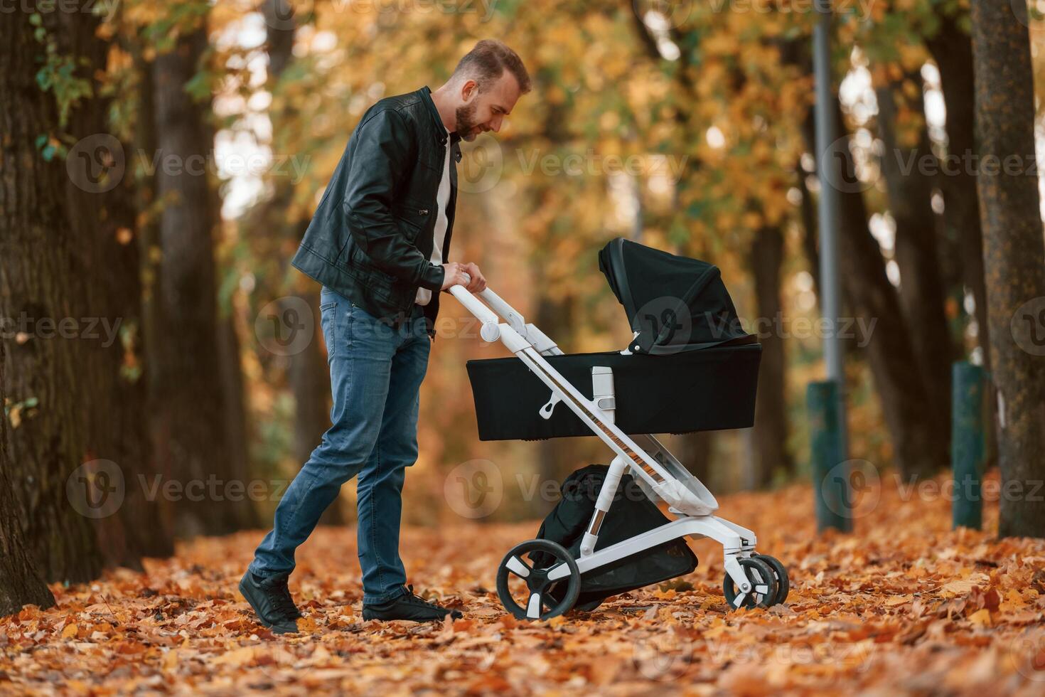 Man with ,pram is having a walk in the autumn park photo