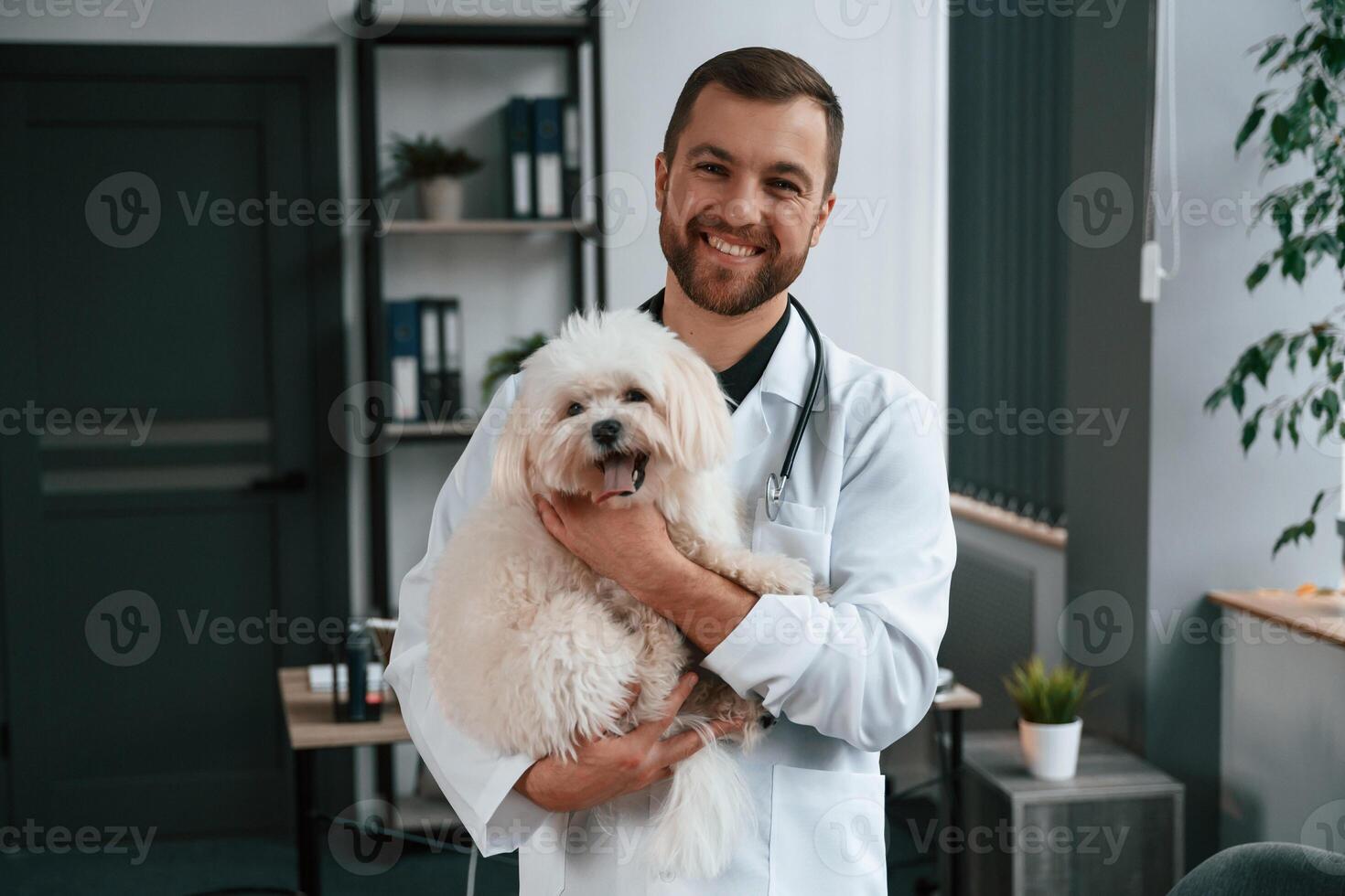 Doctor, in white ,coat is standing and holding maltese dog in hands. In the clinic photo