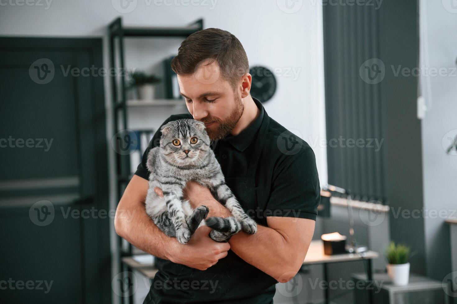 Man, is, holding the animal in hands. Groomer is taking care of scottish fold gray tabby cat indoors photo