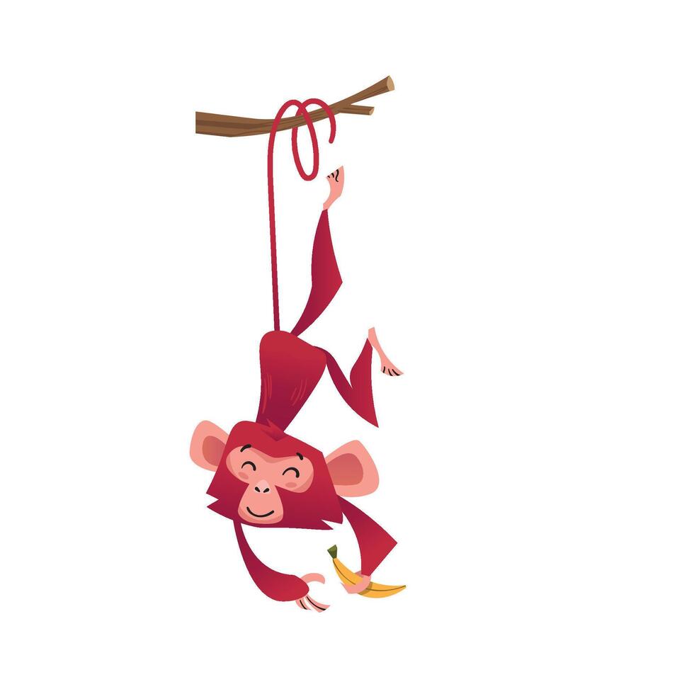 Monkey Animals Character Cartoon Funny Educational Child vector