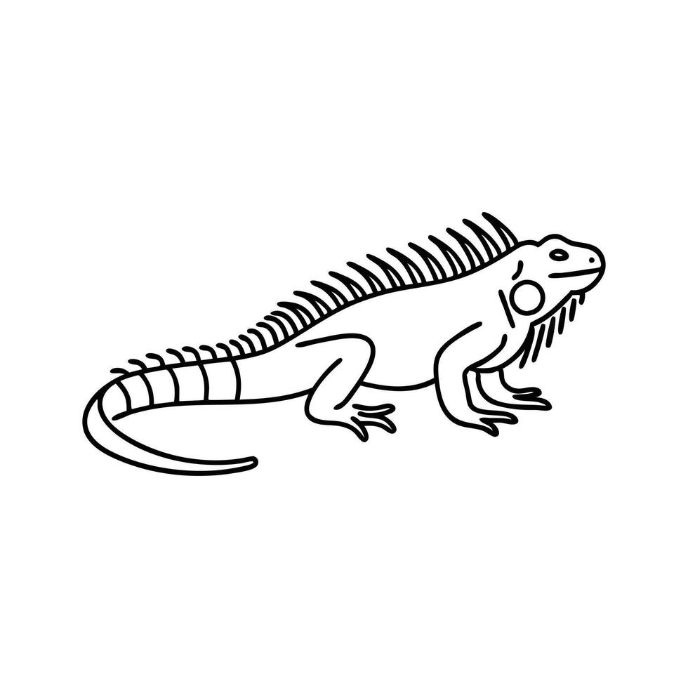 Iguana animal line art flat illustration vector