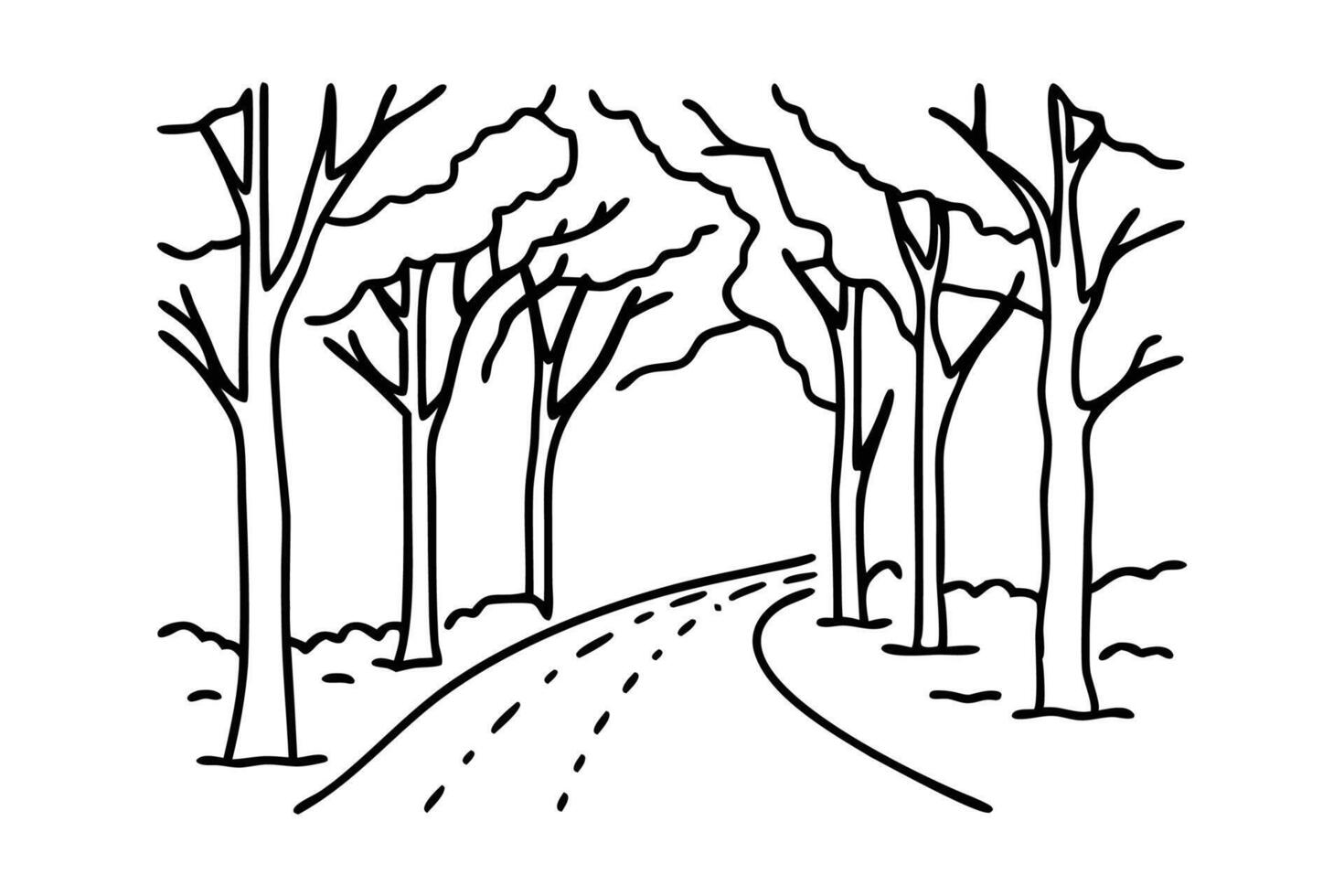 Foggy morning on forest road. line art flat illustration vector