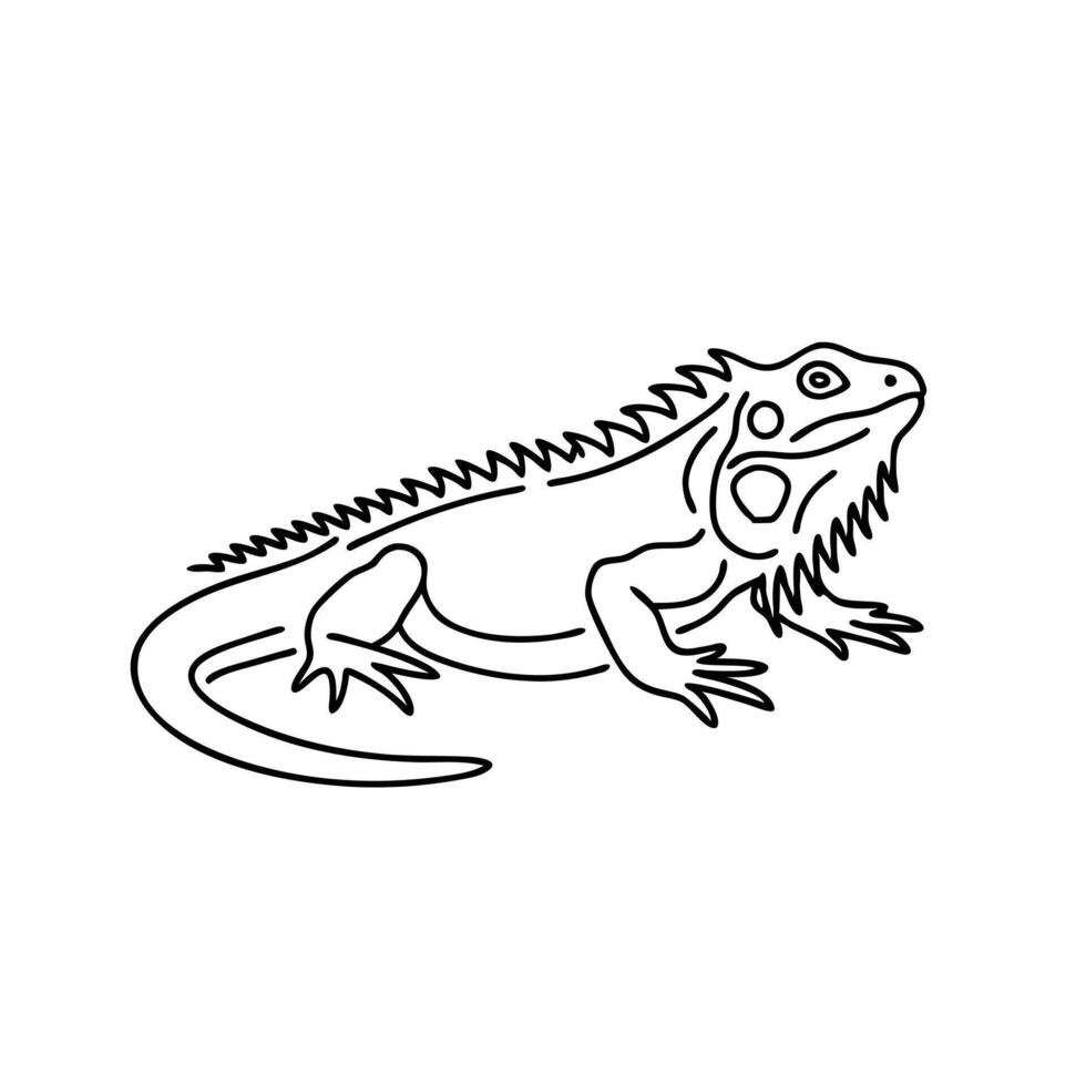 Bearded Dragon animal line art flat illustration. vector
