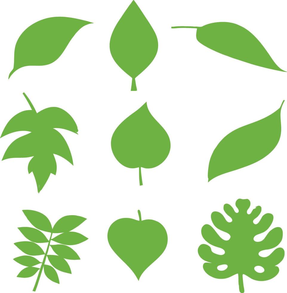 Collection of Nine Green Leaf Silhouettes Simple Nature Botanical s vector