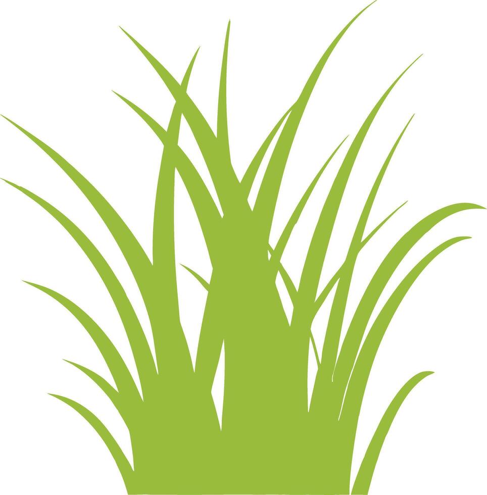 A vibrant green of a lush grass patch with long blades vector