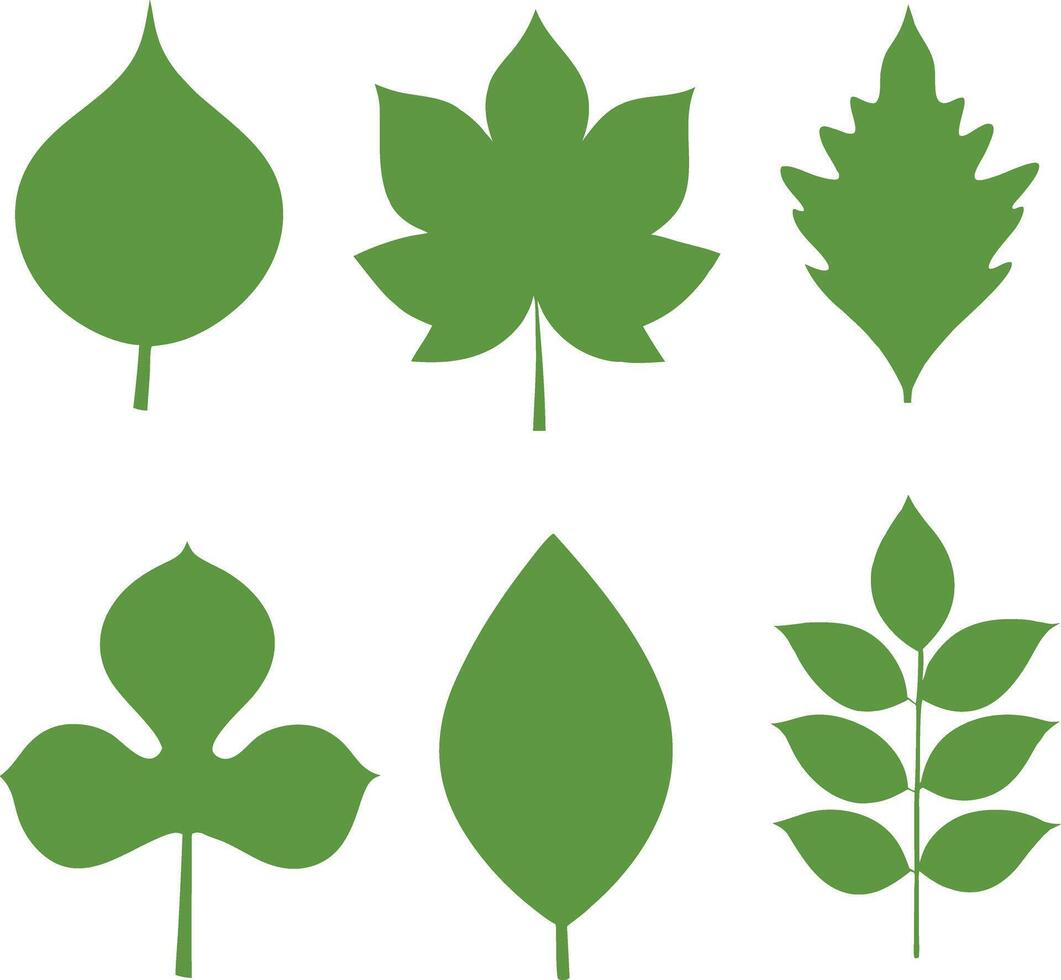 Collection of Six Different Green Leaf Silhouettes s Botanical Nature Shapes vector