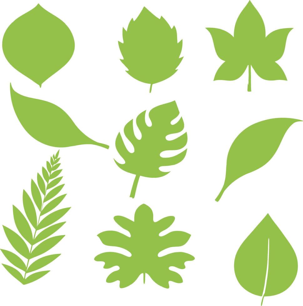 Collection of various green leaf shapes and silhouettes botanical vector