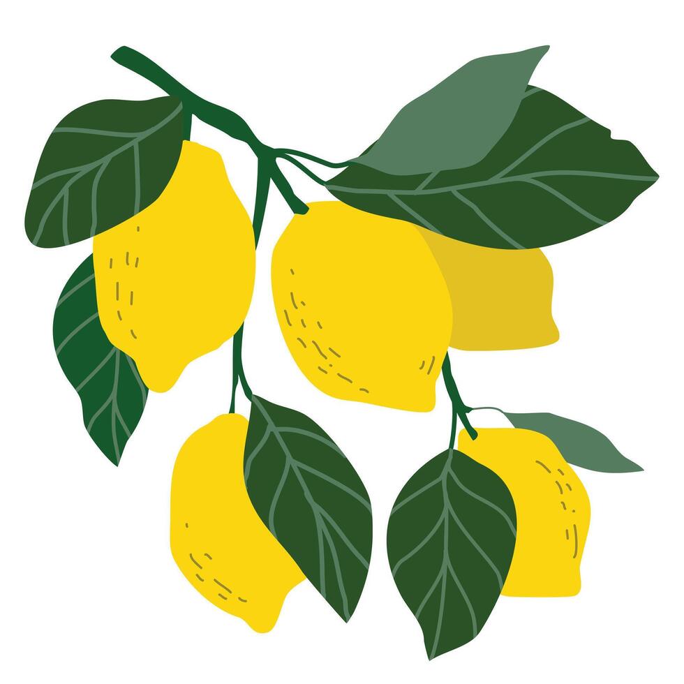 Fresh lemon fruits in Hand-drawn style set, Drawing of food elements for design menu label packaging vector