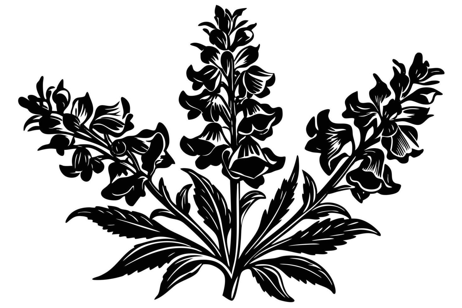 Elegant Black and White Floral Design of a Foxglove Bouquet vector