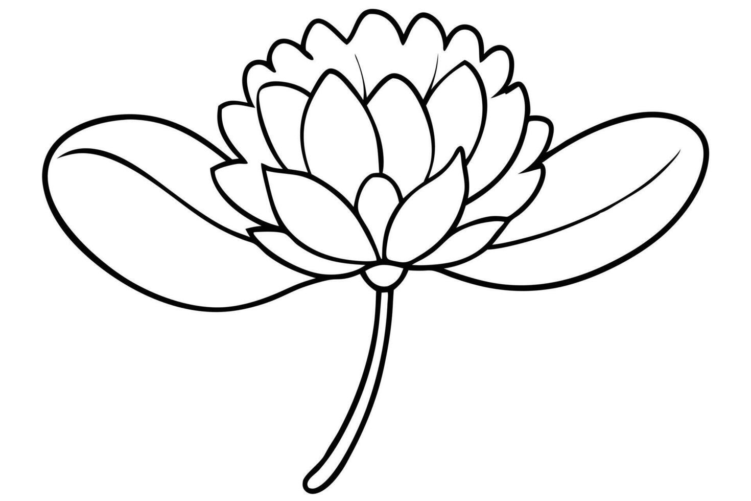 A Elegant Black and White Line Art Clover Flower vector