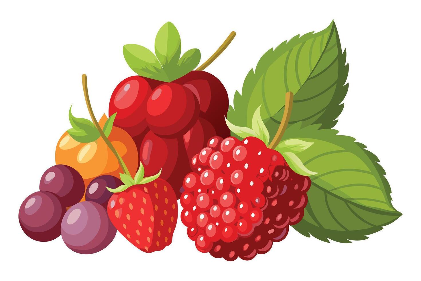 Vibrant illustration of various colorful berries and cherries vector