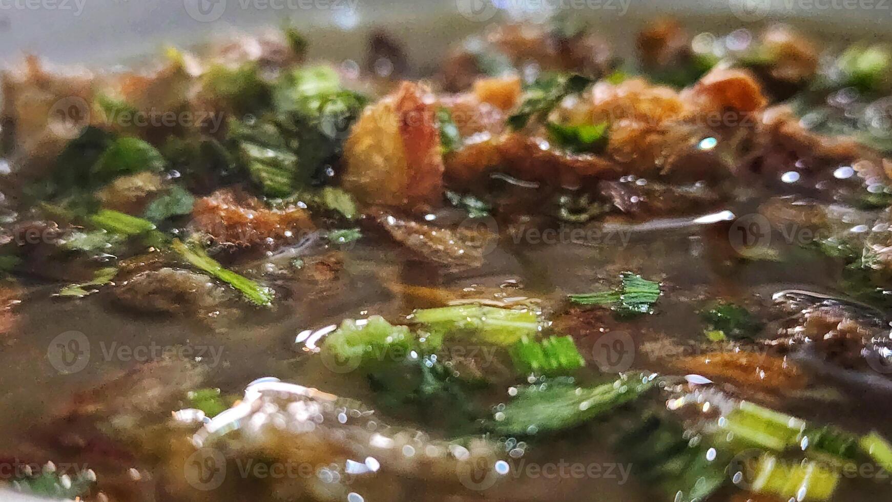 a bowl of soup with meat and herbs in it photo