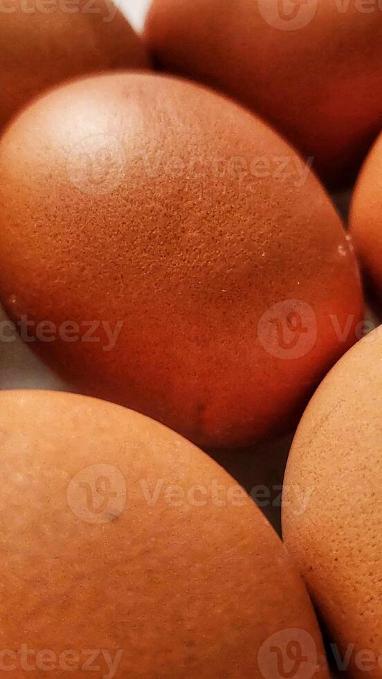 a close up of a group of brown eggs photo