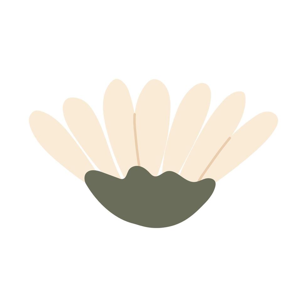 Simple chamomile illustration vector