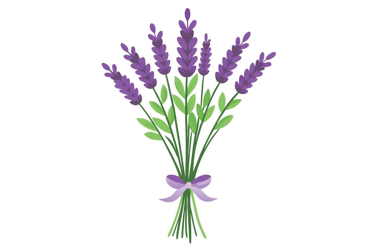 illustration of a tied lavender bouquet. vector