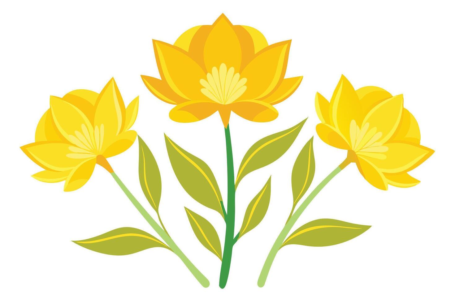 A vibrant Yellow Flowers in Full Bloom vector
