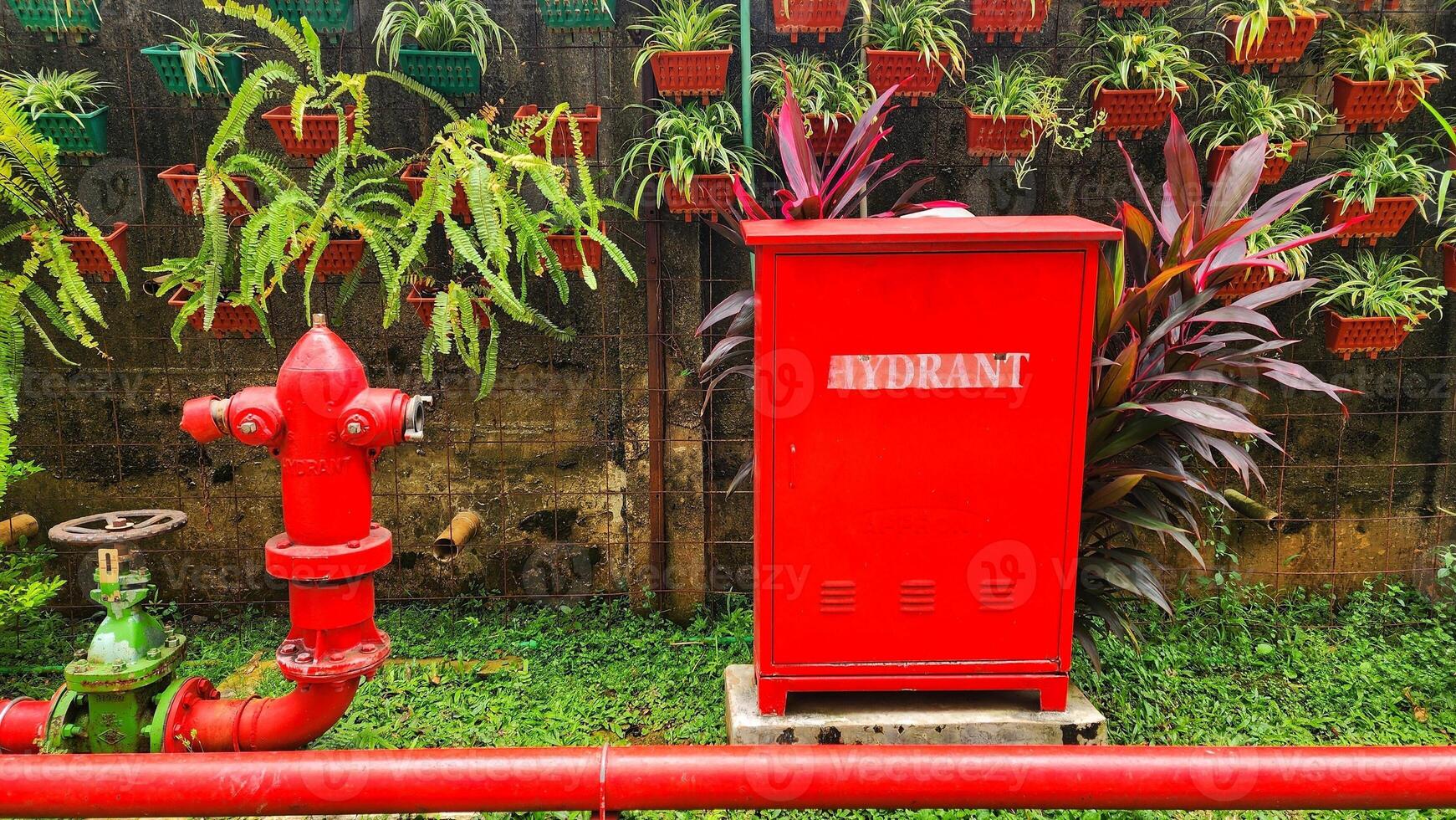 red fire hydrant and green plants in the park, closeup of photo
