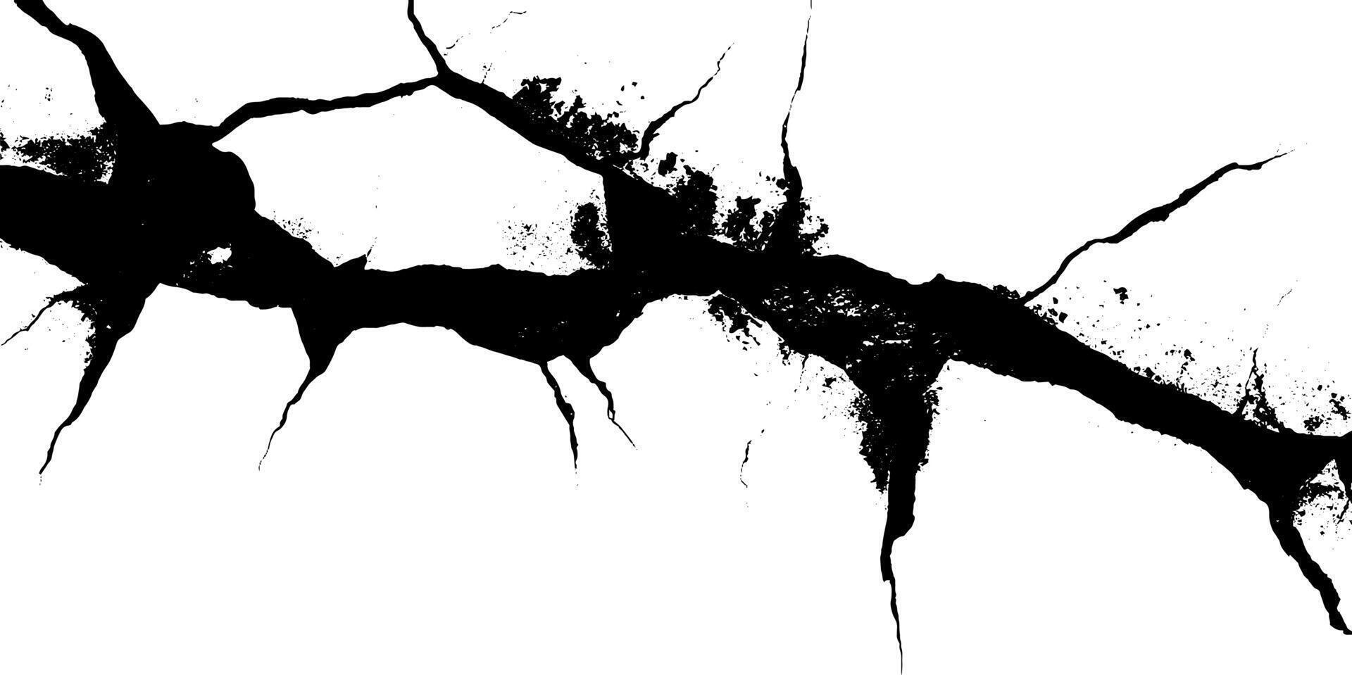 Exploring the intricate beauty of crack textures in monochrome artistry and their expressive forms in a creative landscape vector