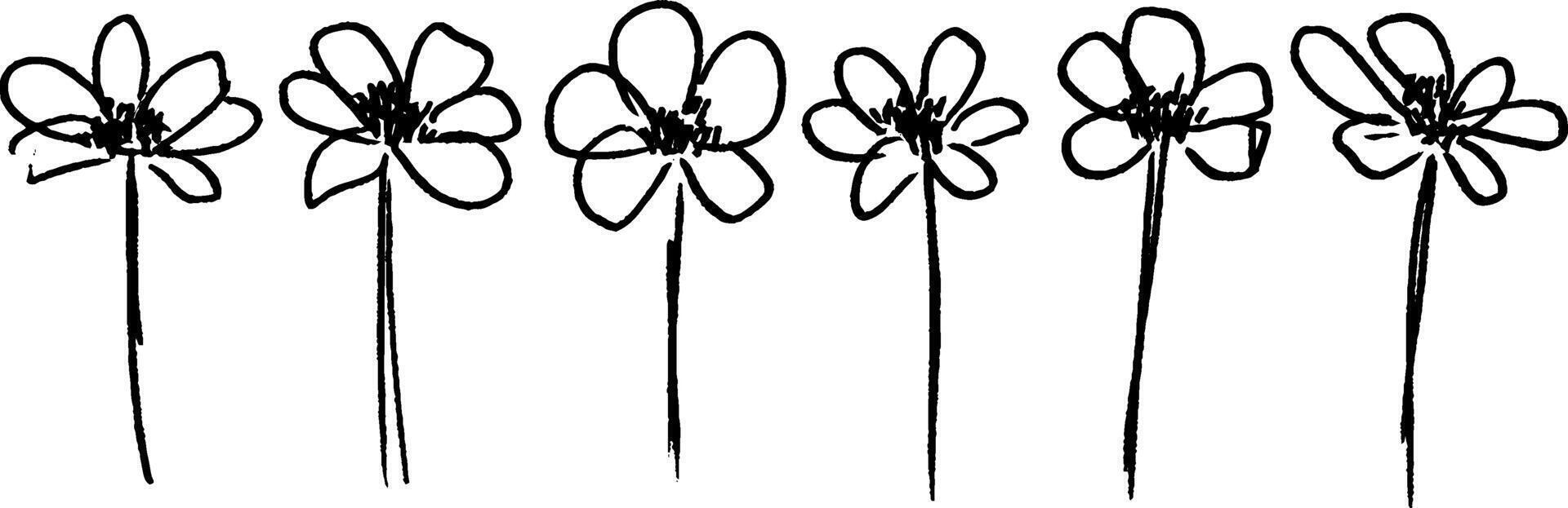 Row of Simple Flower Illustrations vector