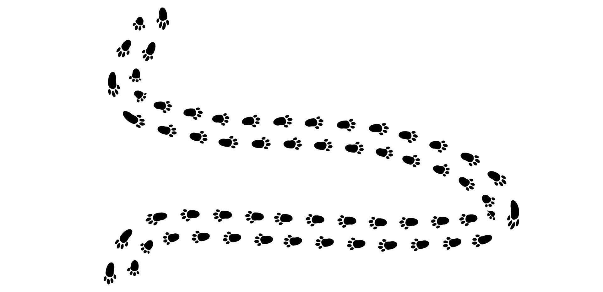 Bunny footprints creating a whimsical trail across the snowy landscape during a bright winter morning vector