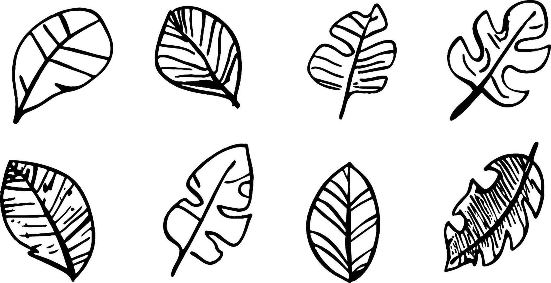 A collection of hand-drawn leaf illustrations featuring various shapes and patterns. The design showcases eight unique leaves, each with distinct lines and textures, ideal for botanical themes. vector