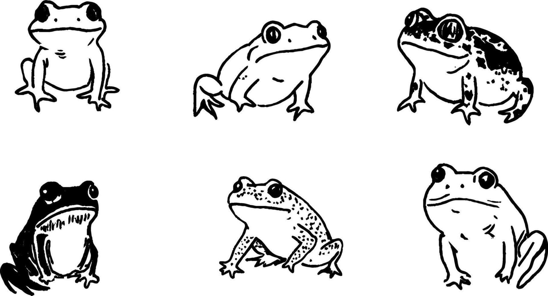 Illustrations of Various Frog Species vector
