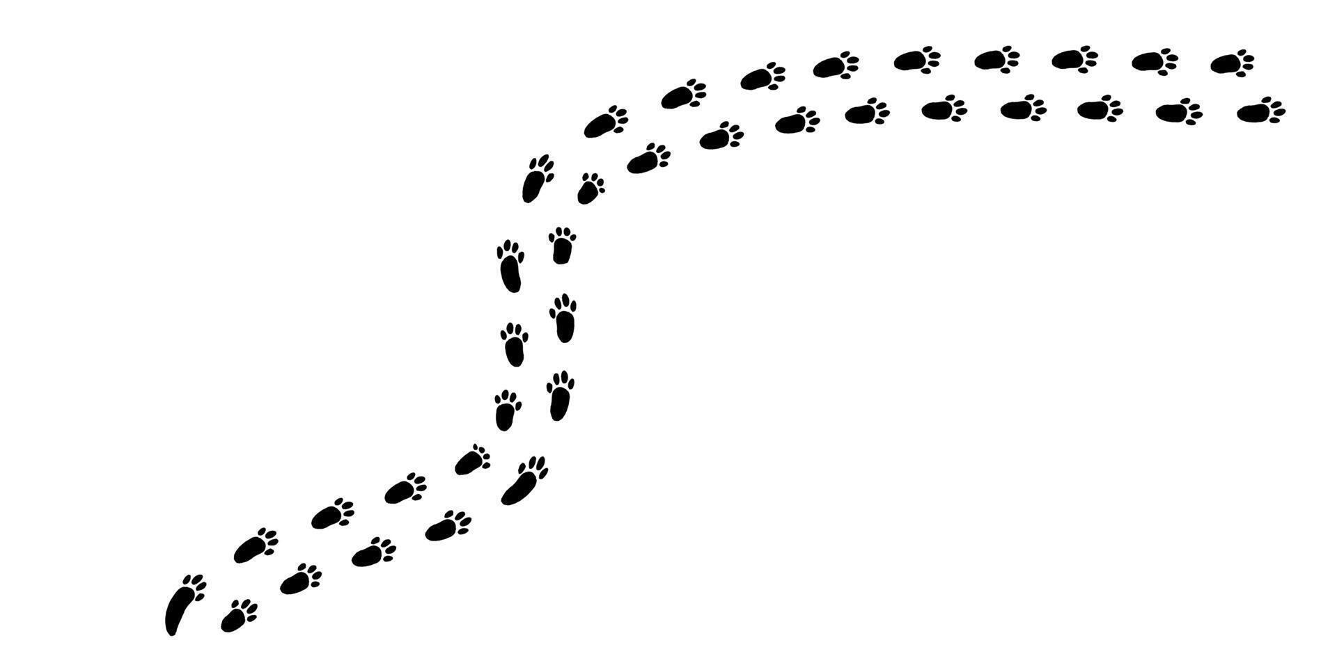 Exploring the soft traces of a playful bunny weaving through the winter wonderland of fresh snow under the warming sun vector