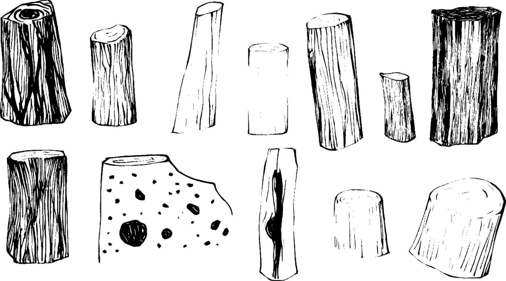 A collection of hand-drawn wooden logs and stumps of various shapes and sizes, showcasing different textures and patterns. vector