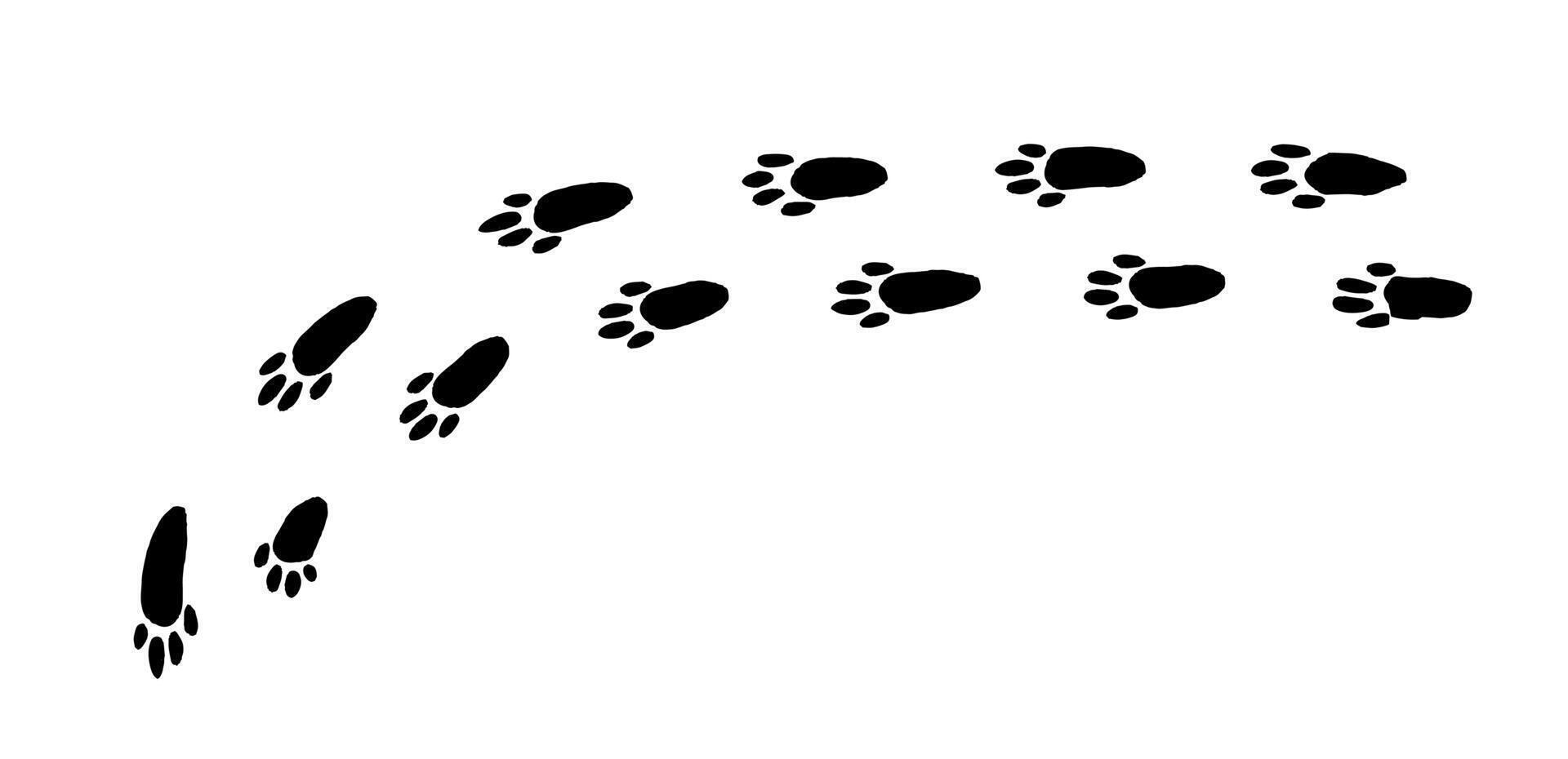 Curious bunny footprints tracing a playful path across a snowy landscape at dawn vector