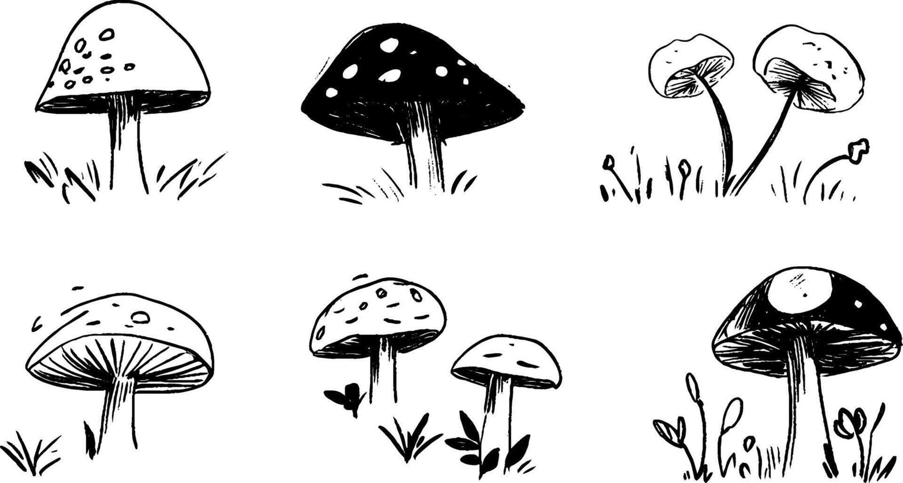 Hand-Drawn Mushrooms Collection in Black and White vector