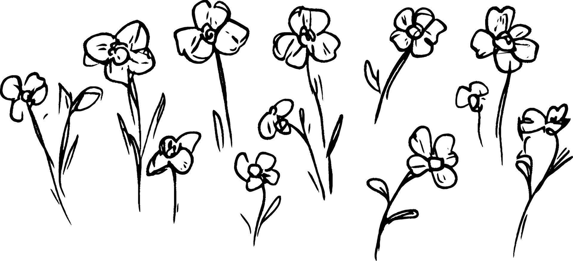 A collection of hand-drawn flowers in various sizes and positions, featuring delicate petals and slender stems. The design is simple and artistic, suitable for floral themes. vector