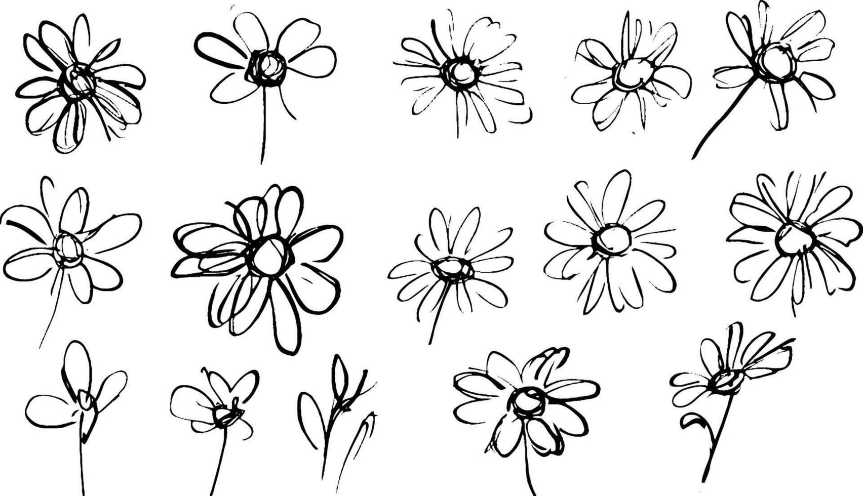 A collection of hand-drawn sketches of flowers, showcasing various styles and perspectives. The flowers are depicted in simple black lines on a white background, emphasizing their delicate shapes. vector