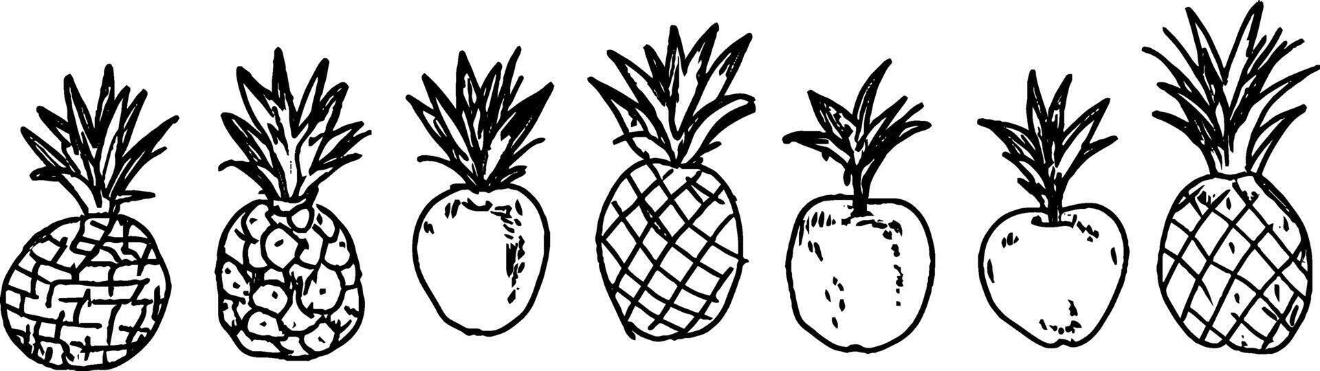 Hand-Drawn Pineapples Illustration vector