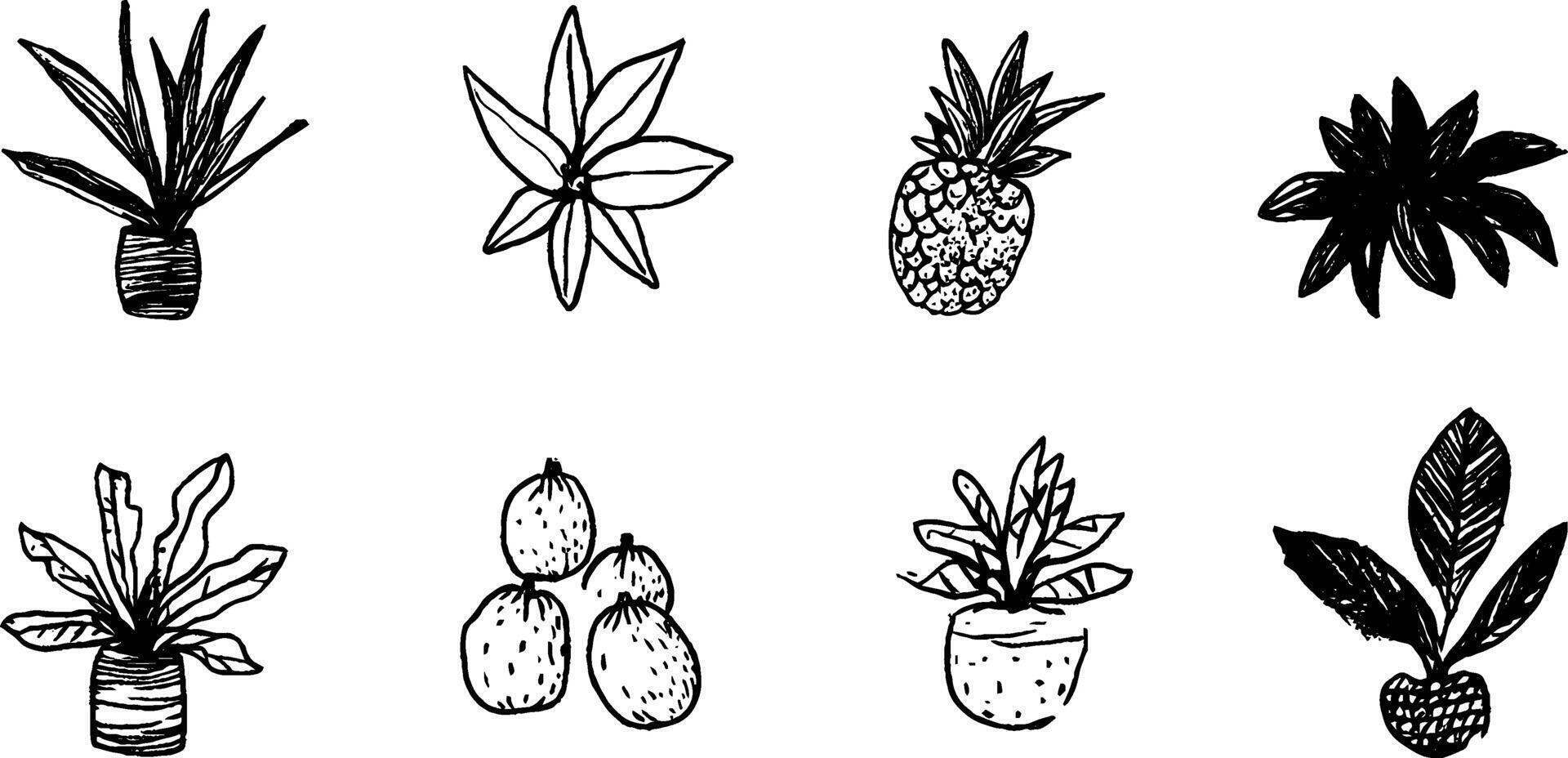 Whimsical Hand-Drawn Plants and Fruits Collection vector