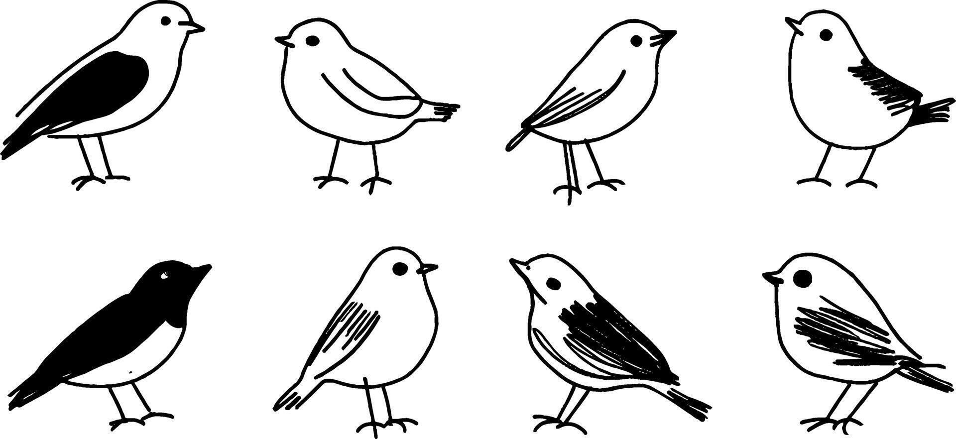 Stylized Bird Illustrations in Black and White vector