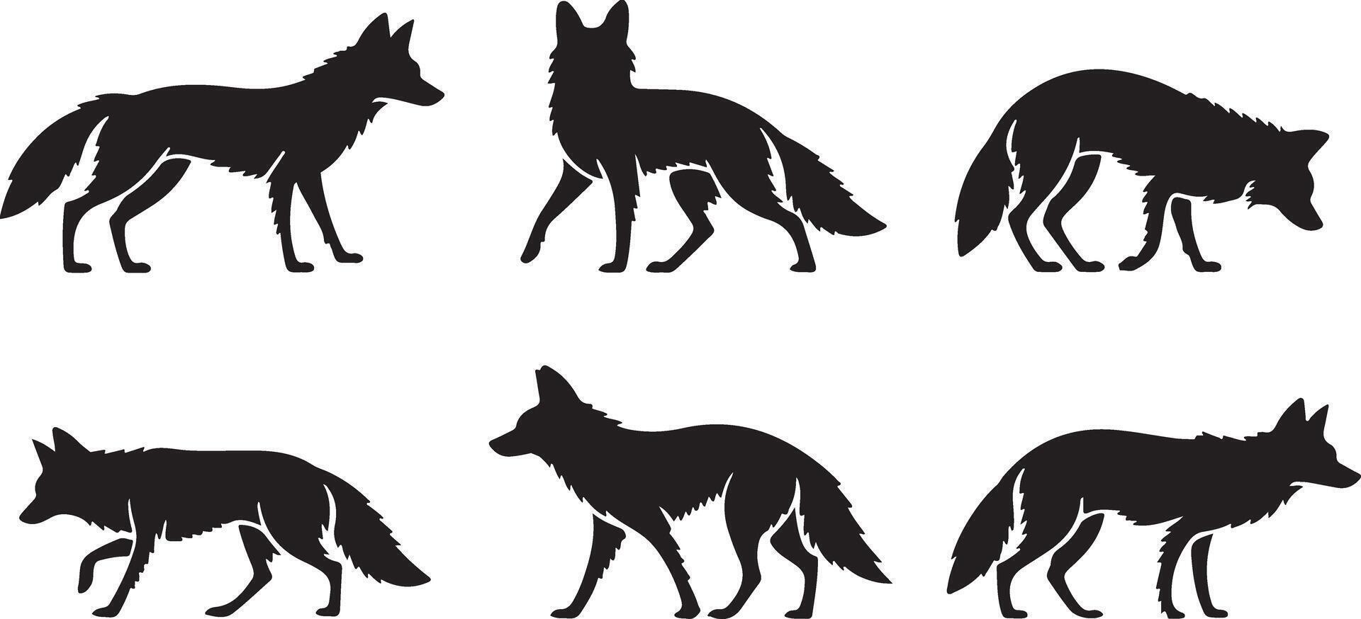 Set of Coyote silhouettes vector