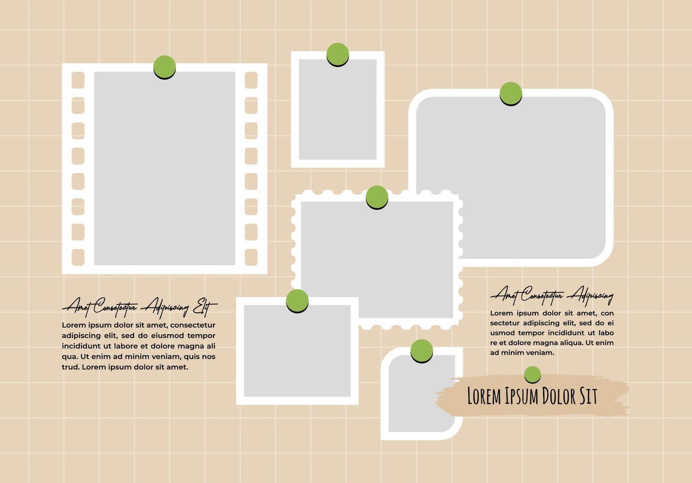 Album Picture abstract photo frames and digital photo wall template vector