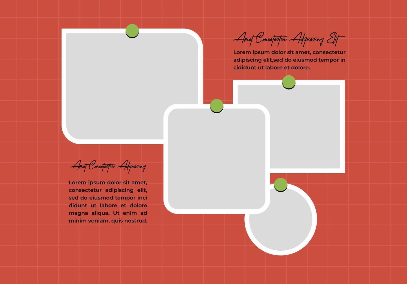 Board Pictures or photos frame collage and digital photo wall vector