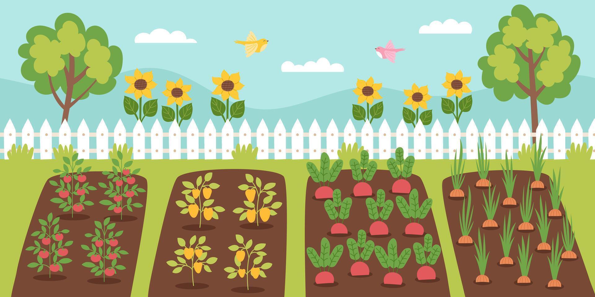 Gardening concept banner. Garden with plants. Nature landscape. Spring and gardening concept. vector