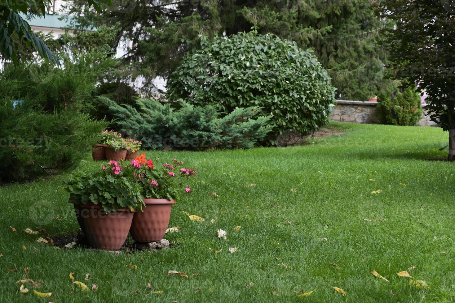 beautiful formal garden with dining place, table tandoor bench on the white hydrangea bush background photo