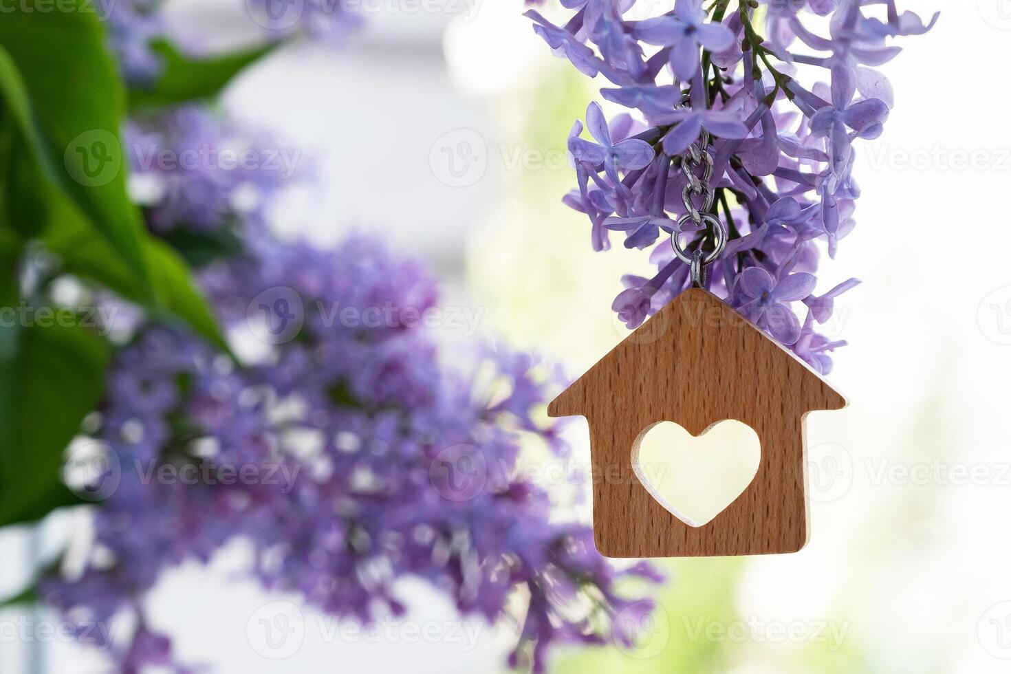 keys and keychain in the form of a house , a symbol of the family hearth and own home. Purchase of real estate. photo