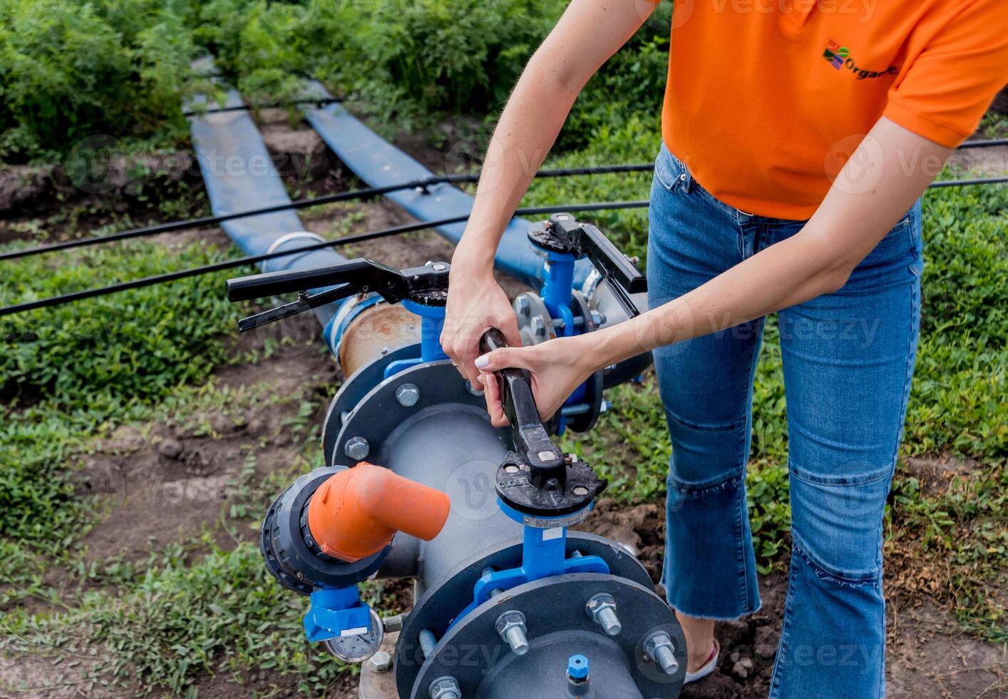 Drip irrigation system. Water saving drip irrigation system being photo