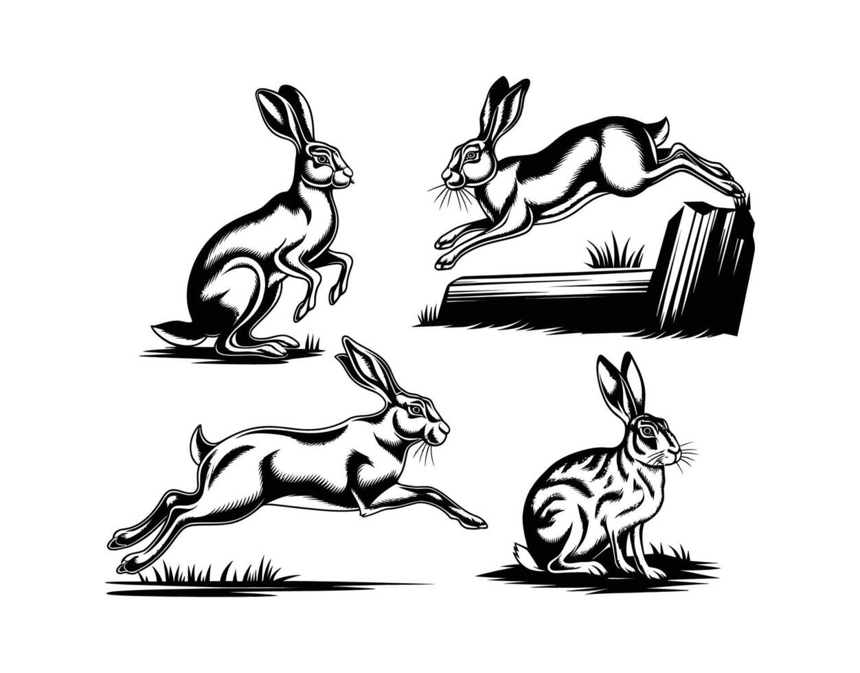 Elegant Hare Silhouette Collection Isolated Template vector
