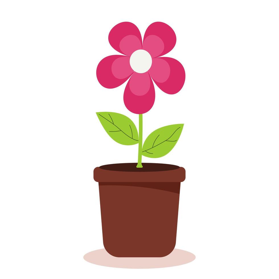 Flower in a pot on a white background. vector