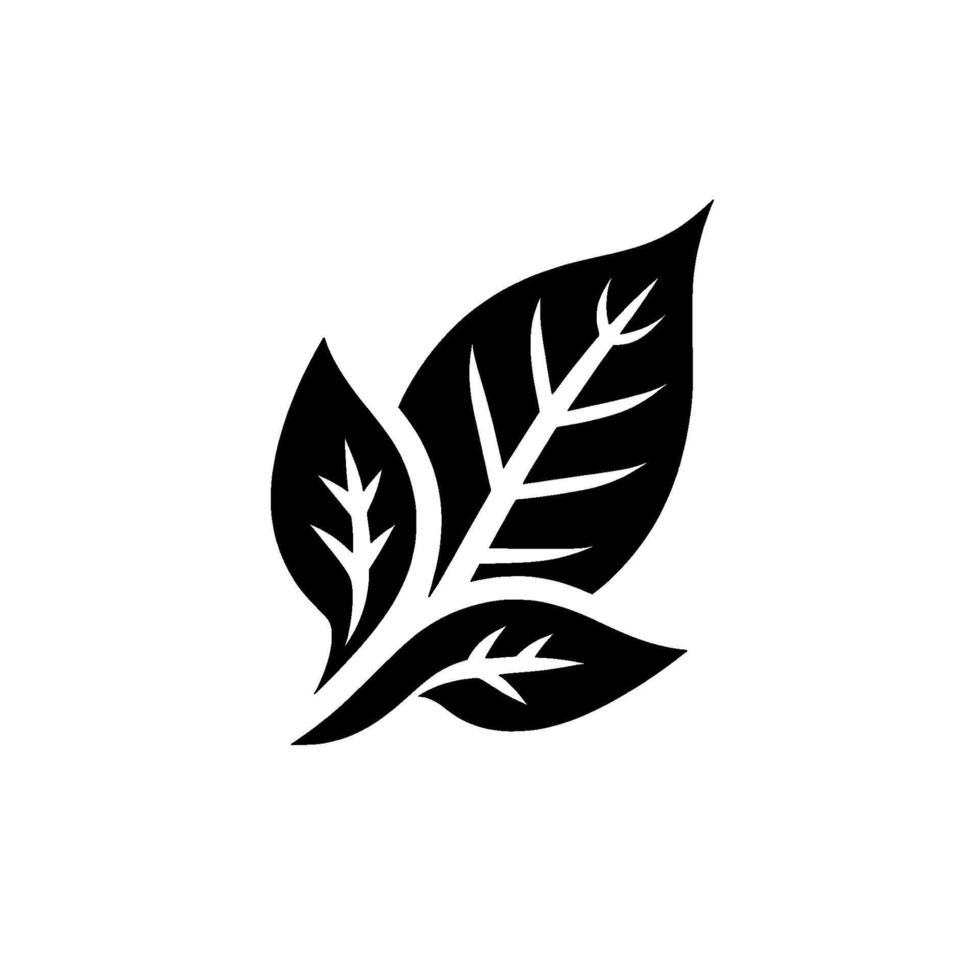 A minimalist black and white illustration of three stylized leaves, showcasing detailed veins and a clean, against a plain white backdrop, evoking natural elegance. vector