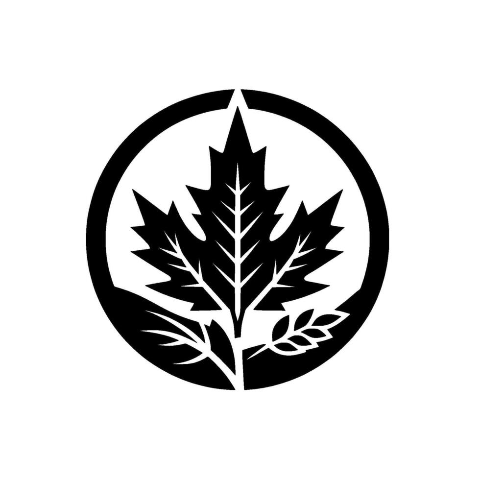 A minimalist, black and white circular emblem featuring a stylized maple leaf, other leaves, and a small sprig within the circle, showcasing elegance. vector