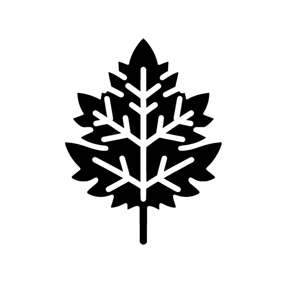 Bold, minimalist of a single, stylised leaf in black and white, highlighting intricate vein details, against a bright, neutral background. vector