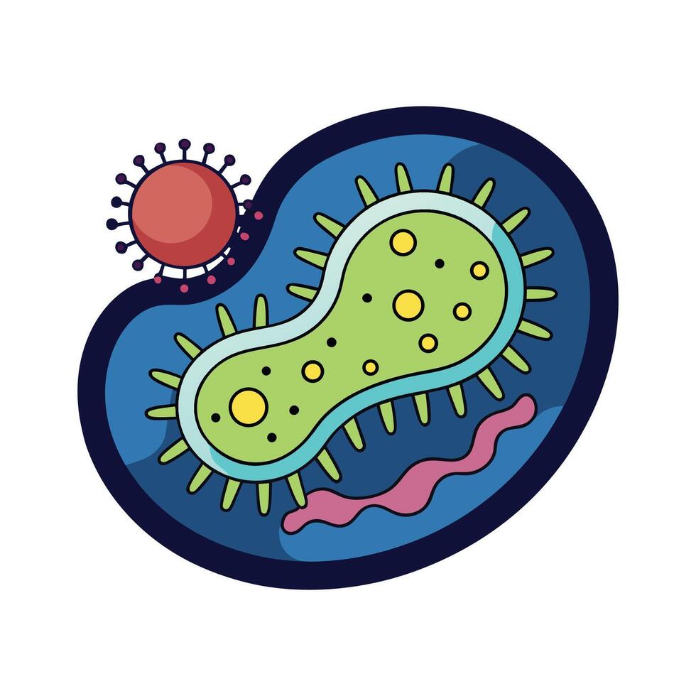 Anaerobic Bacteria in LowOxygen Conditions vector