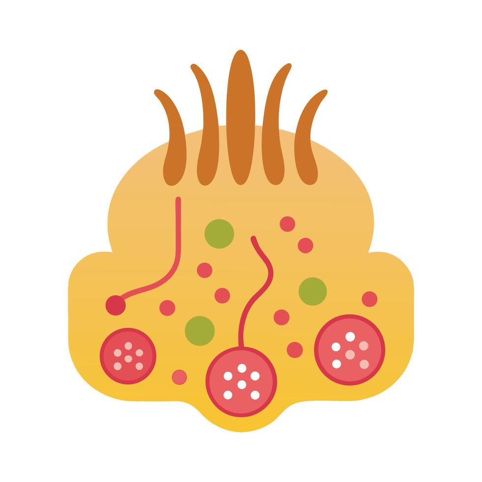 Bacteria and Acne in Hair Follicles vector